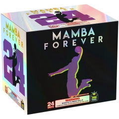 MAMBA FOREVER